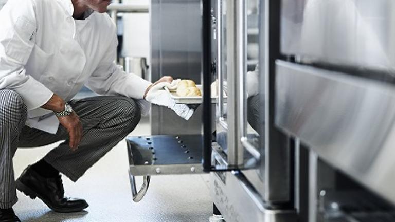 commercial_kitchen_advion_cockroach